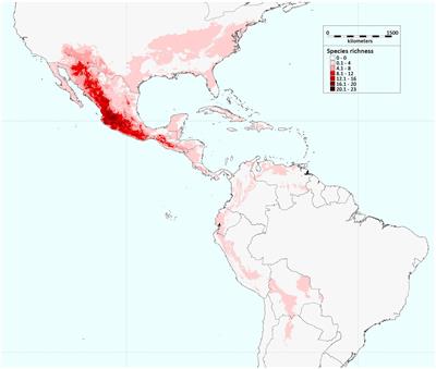 Beans (Phaseolus ssp.) as a Model for Understanding Crop Evolution